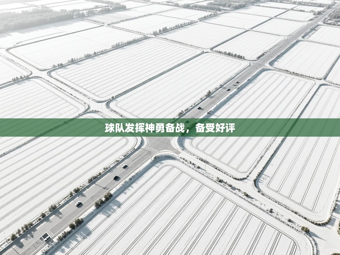 球队发挥神勇备战，备受好评
