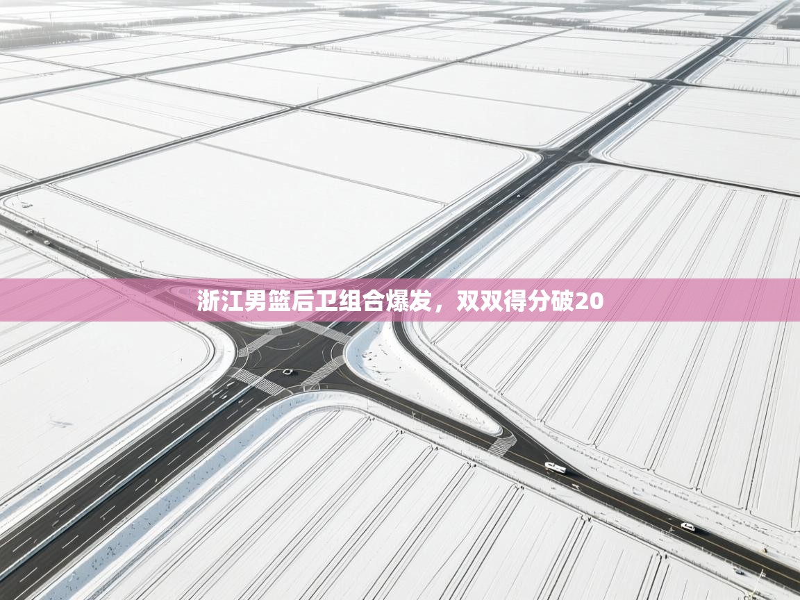 浙江男篮后卫组合爆发,双双得分破20 第1张