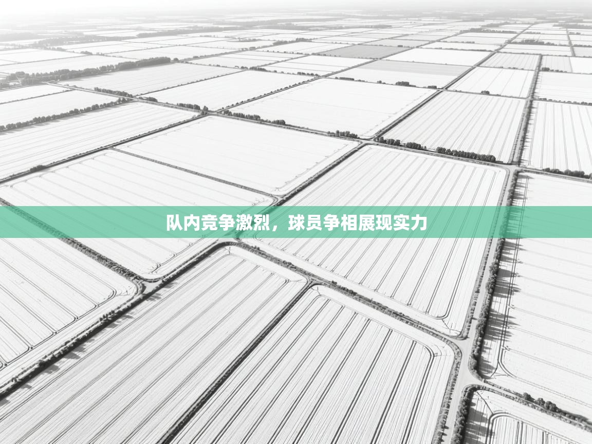 队内竞争激烈，球员争相展现实力