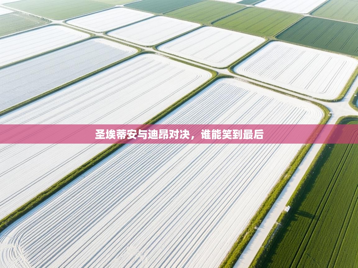 圣埃蒂安与迪昂对决，谁能笑到最后