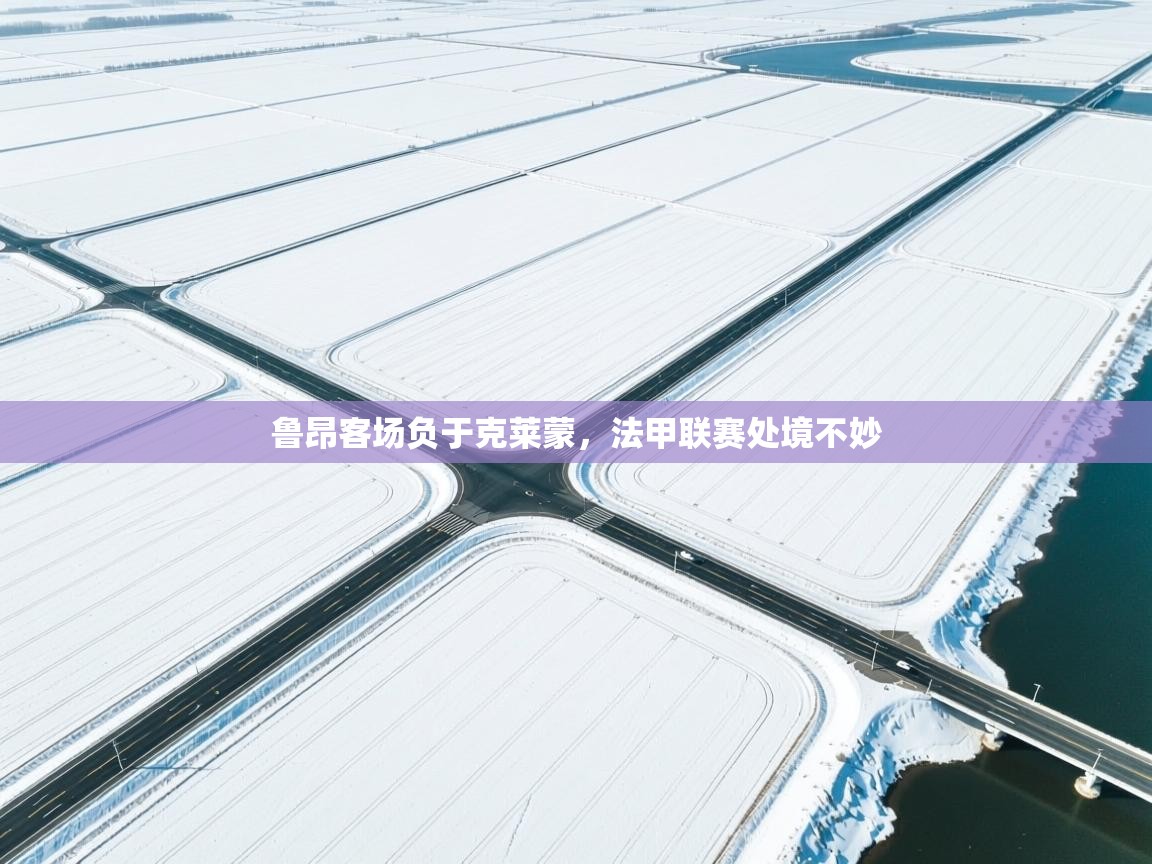 鲁昂客场负于克莱蒙，法甲联赛处境不妙  第1张