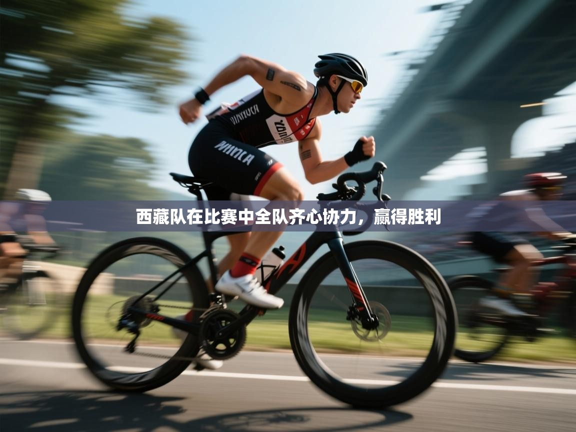 西藏队在比赛中全队齐心协力，赢得胜利